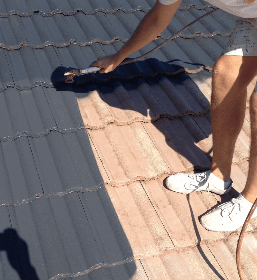 Roof Painting North Shore