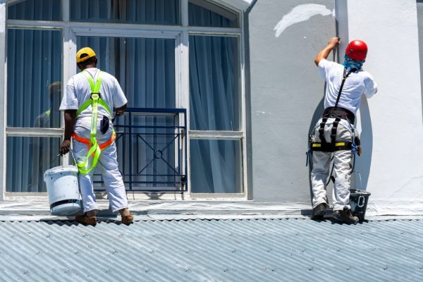 commercial painters auckland